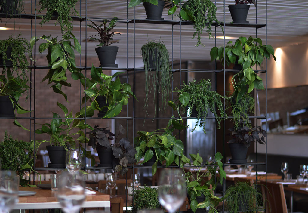 Restaurante Bazzar | 2017 | Projeto de Paisagismo