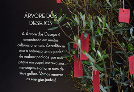 Loja Dona Coisa | 2015 | Vitrine e Cenografia