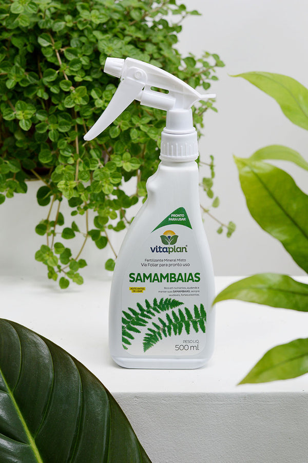 Fertilizante para Samambaias (500ml)