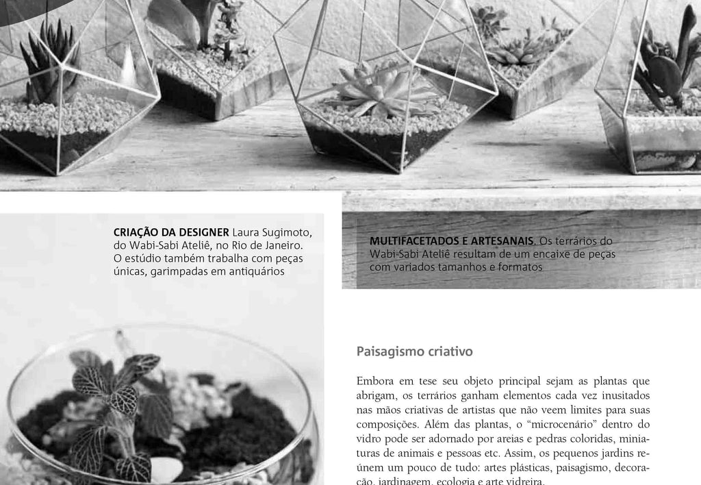 Revista Vidro Impresso - 2013