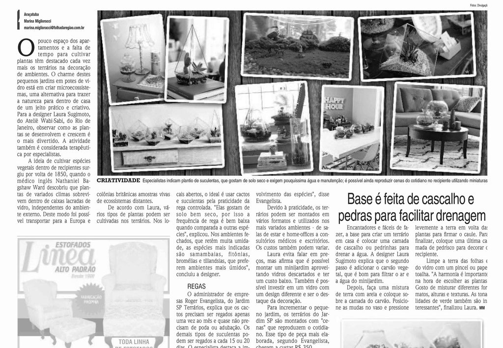 Jornal Folha da Região - 02/2015