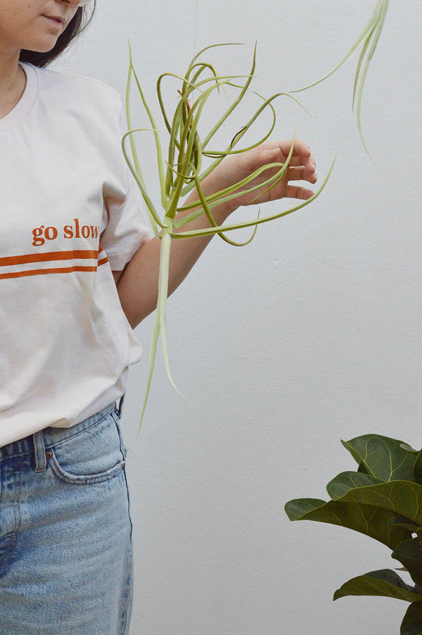 Kit T-shirt Go Slow + Planta Aérea