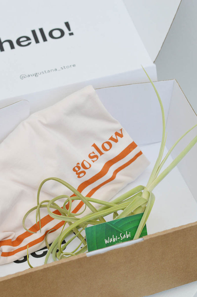 Kit T-shirt Go Slow + Planta Aérea