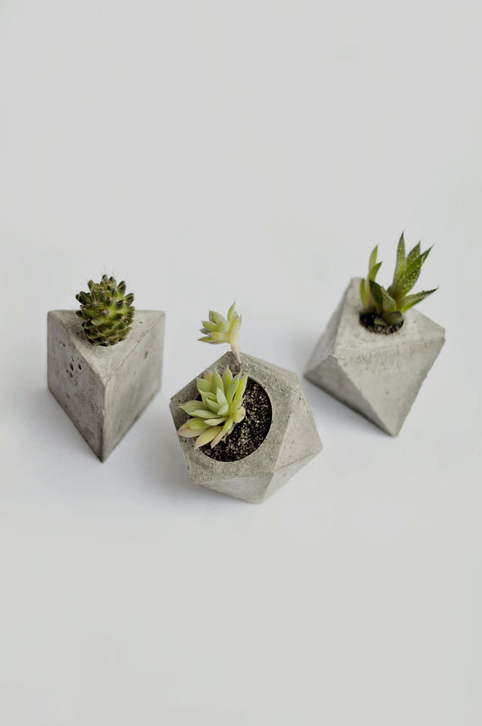 Trio Vasos Geo-Concreto Variados