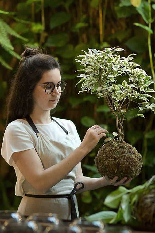 Oficina de Kokedama