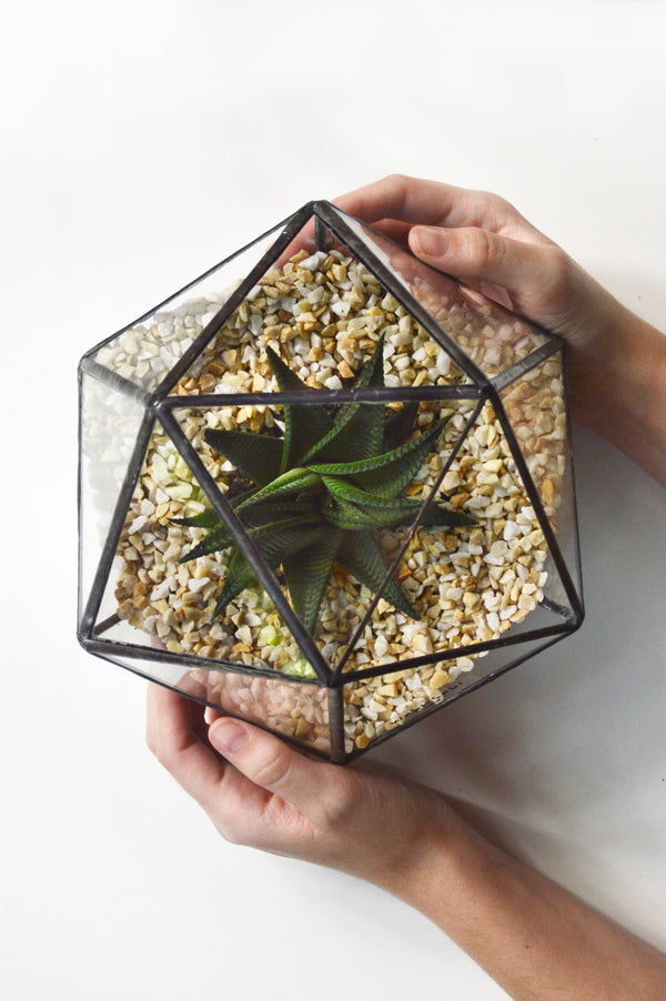 Terrário Icosaedro