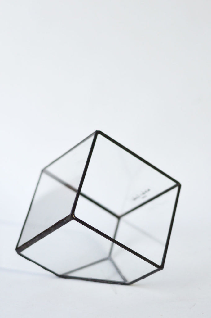 Terrário Mini-Cubo